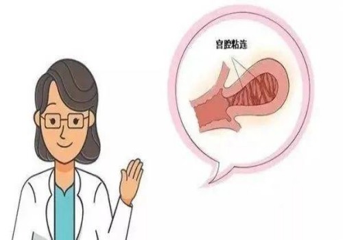 做試管嬰兒前如何調(diào)理內(nèi)膜，學(xué)會(huì)這些方法提高著床成功率